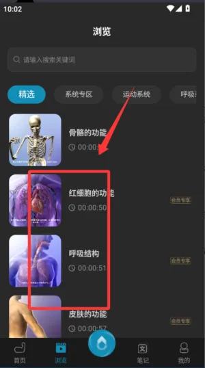 3D肌肉解剖(肌肉解剖学习) 3D肌肉解剖(肌肉解剖学习)