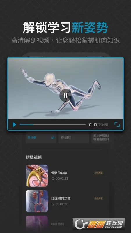 3D肌肉解剖(肌肉解剖学习) 3D肌肉解剖(肌肉解剖学习)