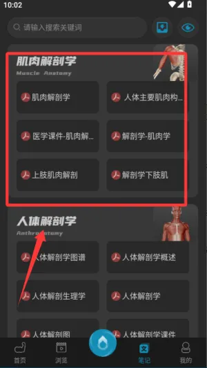 3D肌肉解剖(肌肉解剖学习) 3D肌肉解剖(肌肉解剖学习)