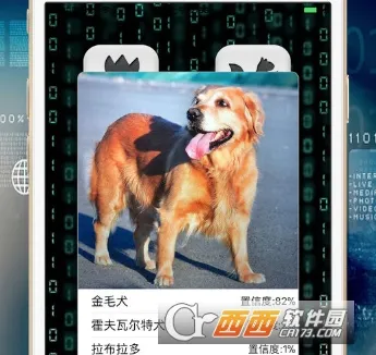 慧眼识图(拍照识图软件) 慧眼识图(拍照识图软件)
