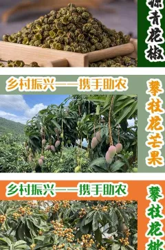 蒙哈儿饿潮最新手机版 蒙哈儿饿潮最新手机版