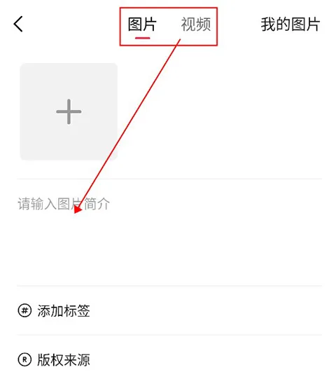 汽水壁纸2025官方最新版本 汽水壁纸2025官方最新版本