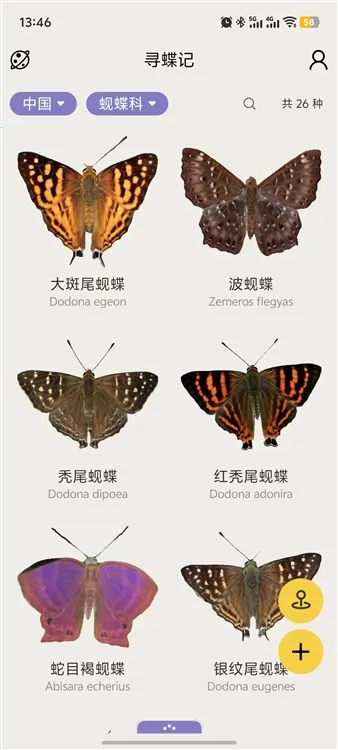 寻蝶记(蝴蝶记录软件) 寻蝶记(蝴蝶记录软件)