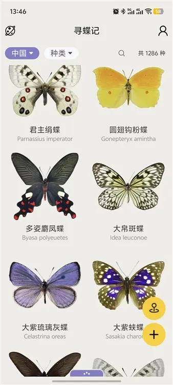 寻蝶记(蝴蝶记录软件) 寻蝶记(蝴蝶记录软件)