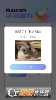 梦想脑力王2025官方正版 梦想脑力王2025官方正版