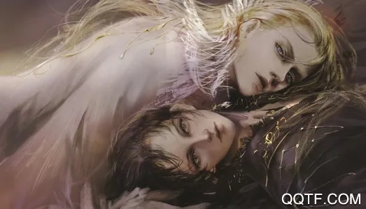 小说绘2025官方最新版本 小说绘2025官方最新版本