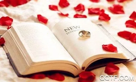 片语(碎片内容速记) 片语(碎片内容速记)