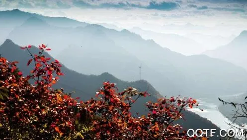 谷城社区2025官方正版 谷城社区2025官方正版