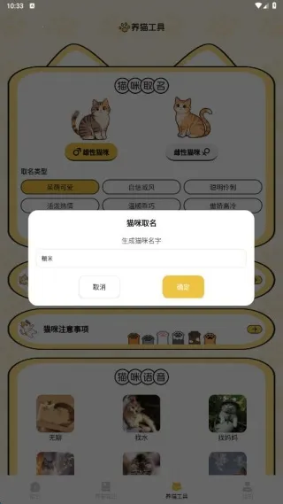 摘星猫喵语2025下载安装 摘星猫喵语2025下载安装