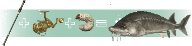 俄罗斯钓鱼4(钓鱼模拟游) 俄罗斯钓鱼4(钓鱼模拟游)