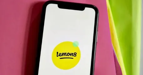 Lemon82025下载安装 Lemon82025下载安装
