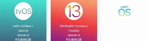 尝鲜派2025官方最新版本 尝鲜派2025官方最新版本