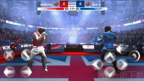 跆拳道大奖赛(跆拳道格斗游戏) 跆拳道大奖赛(跆拳道格斗游戏)