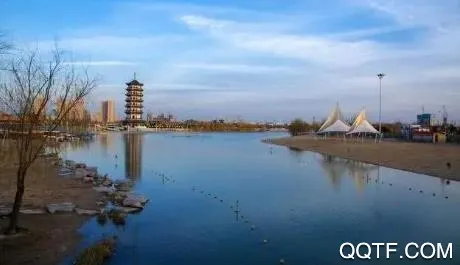 新齐河(本地新闻平台) 新齐河(本地新闻平台)