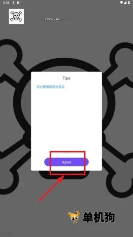 ����ͷ2025�ٷ�����