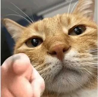 ī��Ӱ��2025���ذ�װv2023 ��Ѱ�