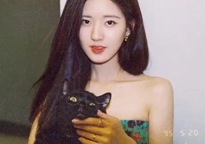 dazz胶片相机(胶片拍照软件) dazz胶片相机(胶片拍照软件)