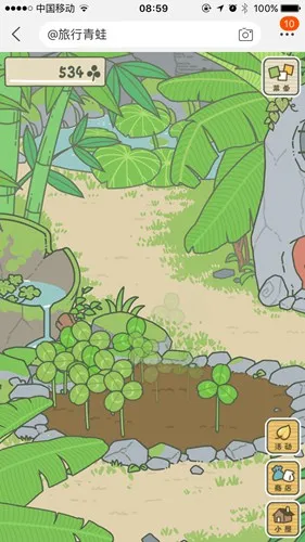 青蛙旅行(青蛙旅行游戏) 青蛙旅行(青蛙旅行游戏)