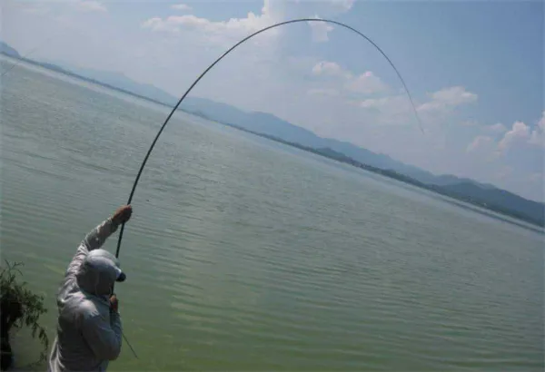 ����ͨ��׿���ֻ���