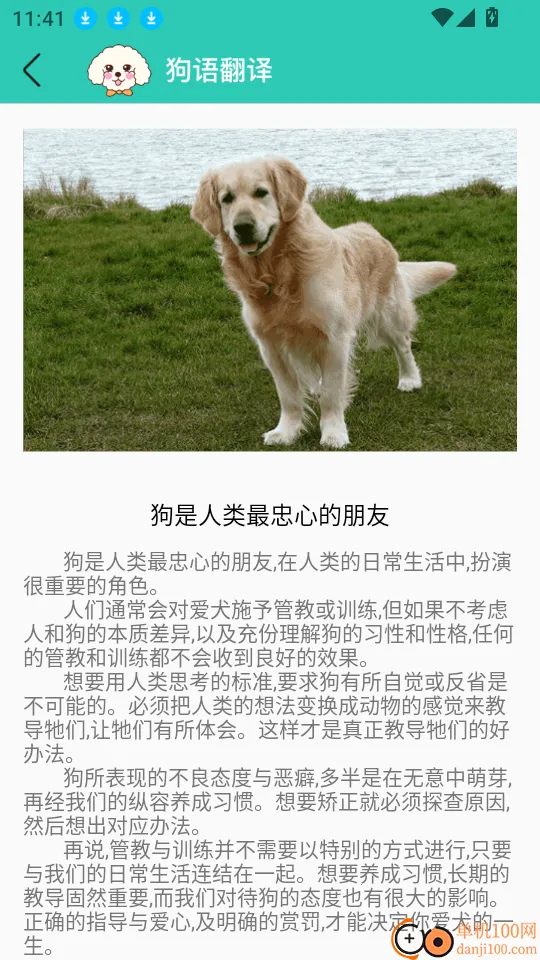 ���﷭�������ֻ���