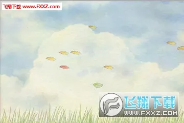 ���������ֻ���