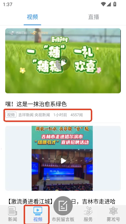 雾凇融媒(城市服务平台) 雾凇融媒(城市服务平台)