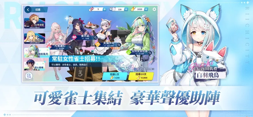 ��ȸһ���ְ�׿���ֻ���