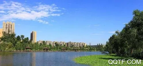 �ɽ�˼�(�ɽ����ƽ̨)