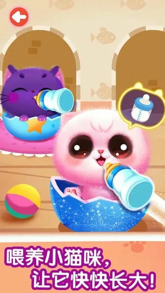 �����߼�ѵ��2026�ٷ�����