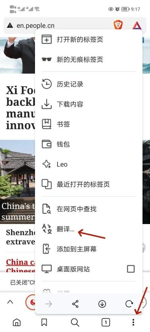 brave�����