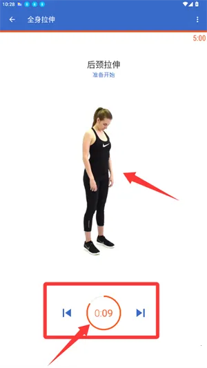 �����������2026�ٷ�����