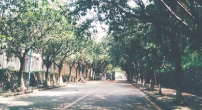 简阳生活 简阳生活