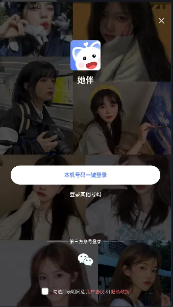 ���齻��2026���°汾