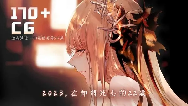 孟德大小姐与自爆少年(三国冒险游戏) 孟德大小姐与自爆少年(三国冒险游戏)