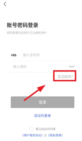 ������;2026���°汾