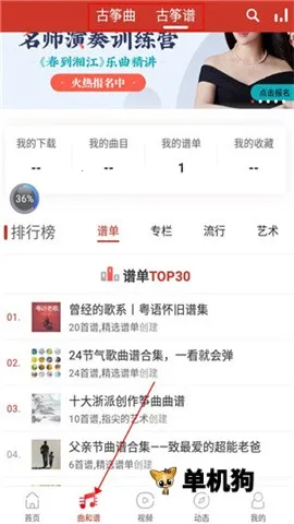 中国古筝网 中国古筝网