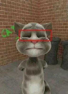 talkingtom talkingtom