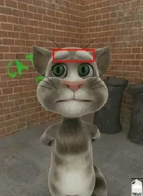 talkingtom talkingtom