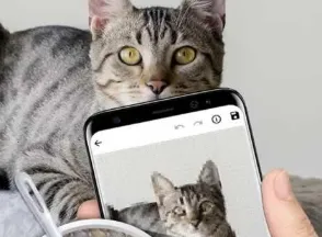 快乐十字绣2026下载 快乐十字绣2026下载