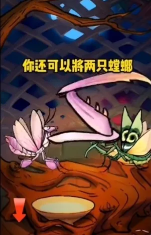 极品螳螂2026下载安装 极品螳螂2026下载安装