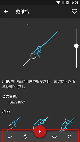 Knots3D2026����