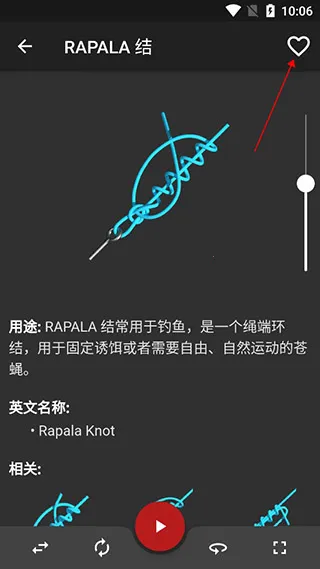 Knots3D2026����