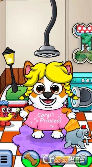 corgi��������