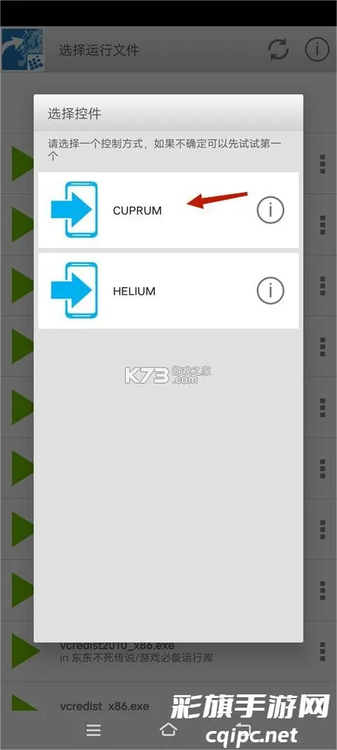 ����������˵����