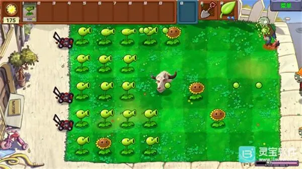 ֲ���ս��ʬţͷָ�������ֻ���