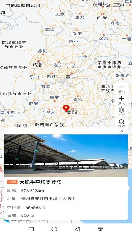 ���ţ��׿���ֻ���