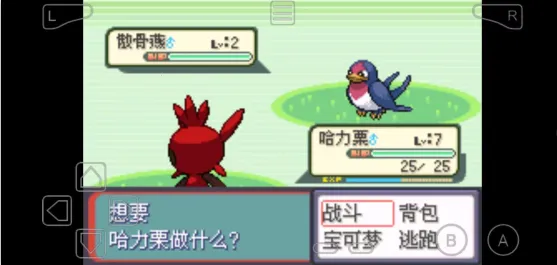 �ڴ�������������