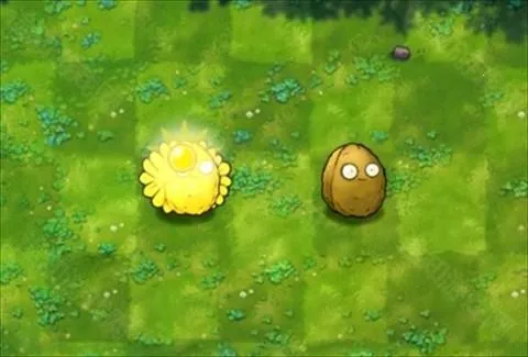 植物大战僵尸安卓版手机版 植物大战僵尸安卓版手机版