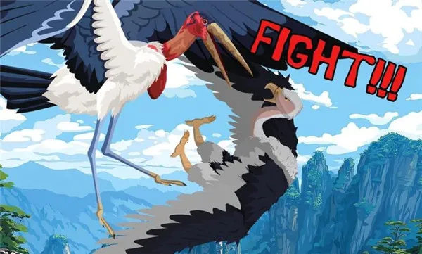 ����ս��2026����