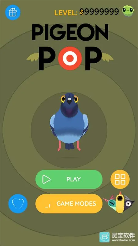 疯狂的鸽子 疯狂的鸽子